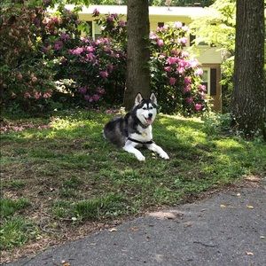 Meet your Posher, June